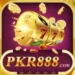 PKR888 Game