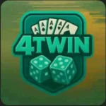 4TWIN Game