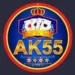 AK55 Game