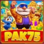 PAK75 Game