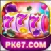 PK67 Game