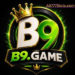 B9 Game