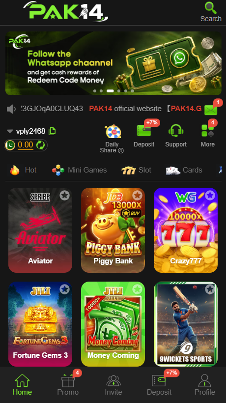pak14 game